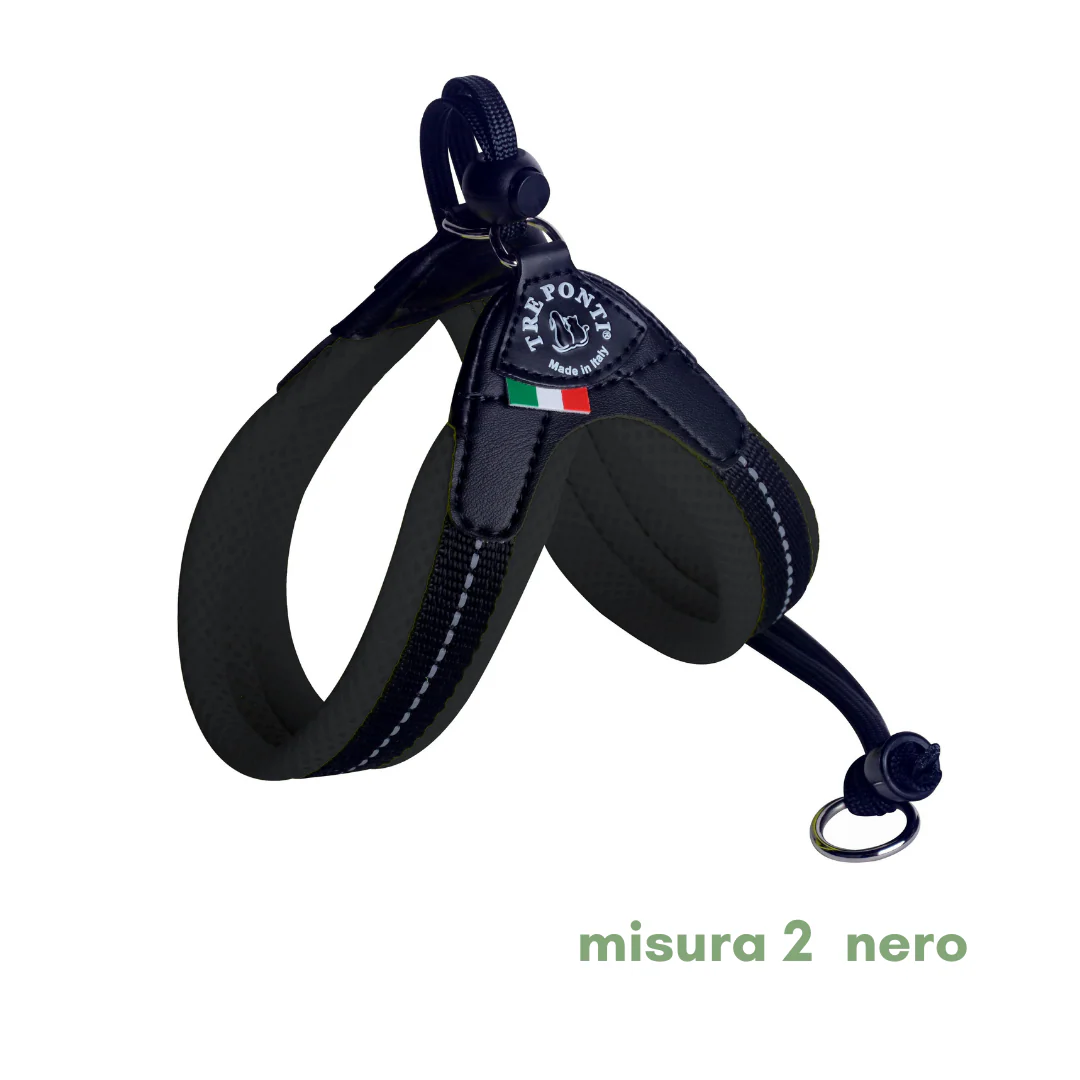 Miniatura 10