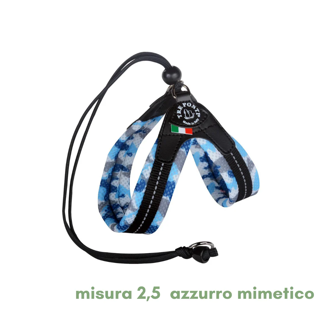 Miniatura 17