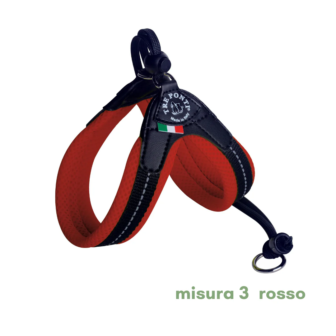 Miniatura 21