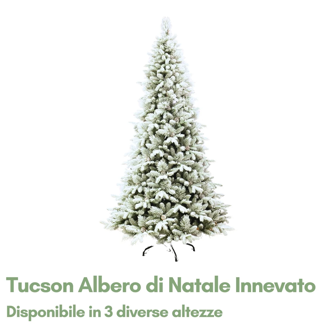 Immagine prodotto 1