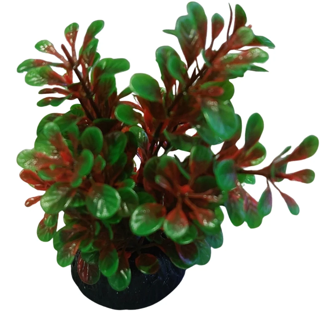 Miniatura 11