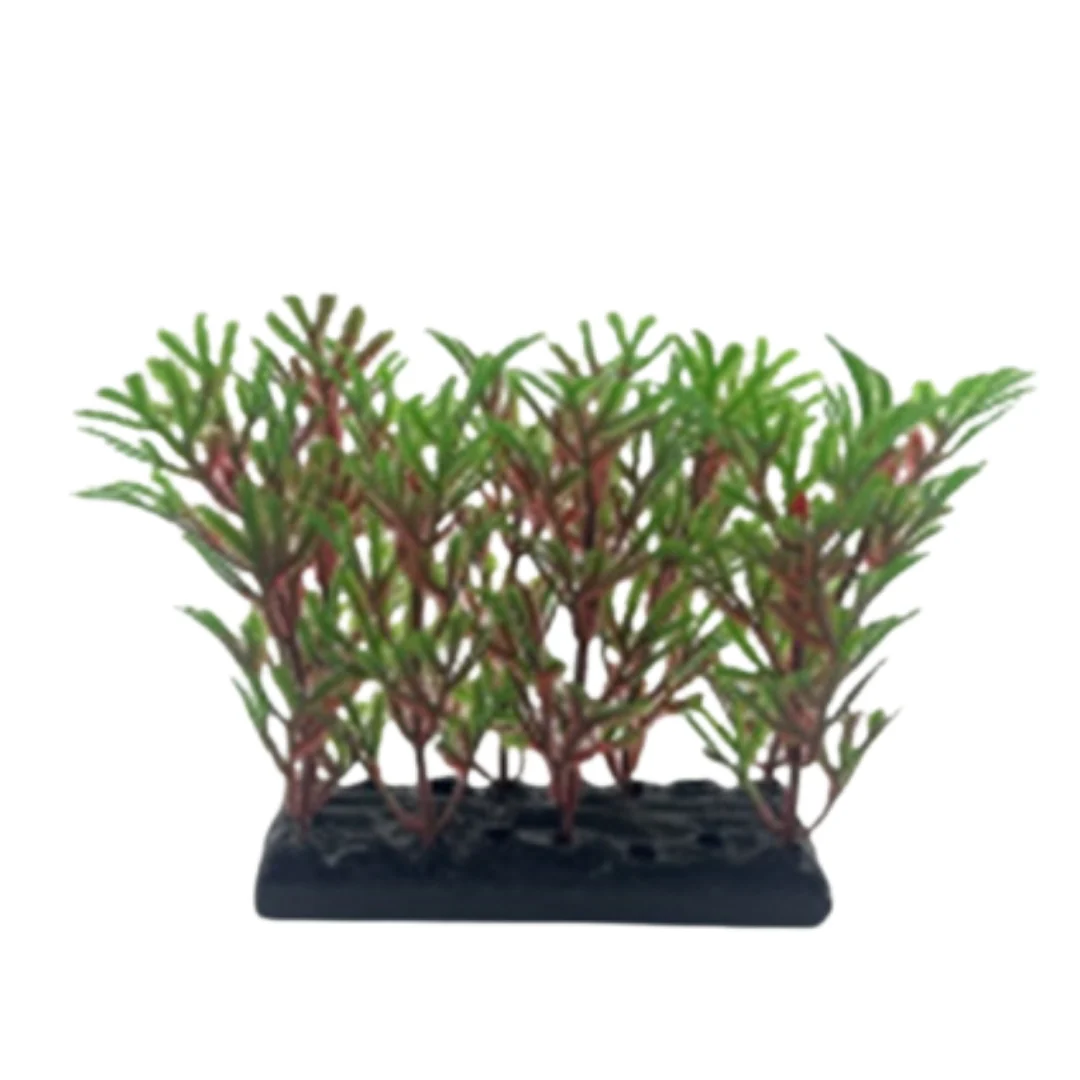 Miniatura 16