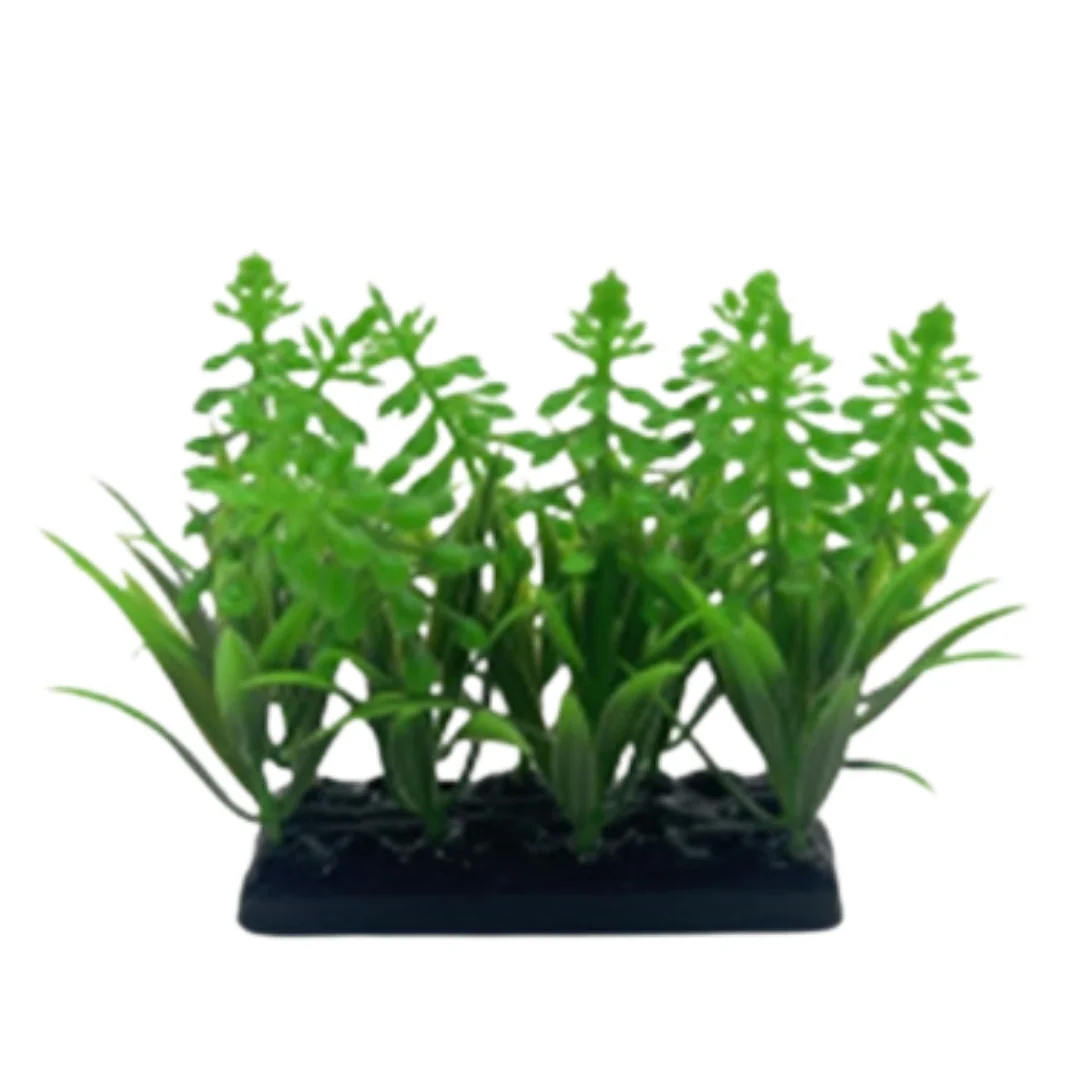 Miniatura 17