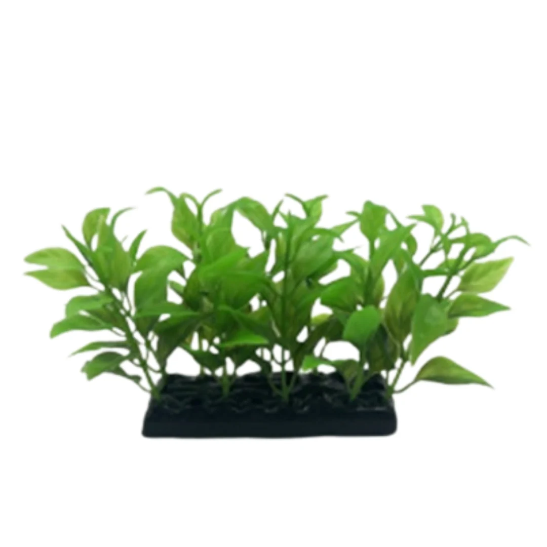 Miniatura 18