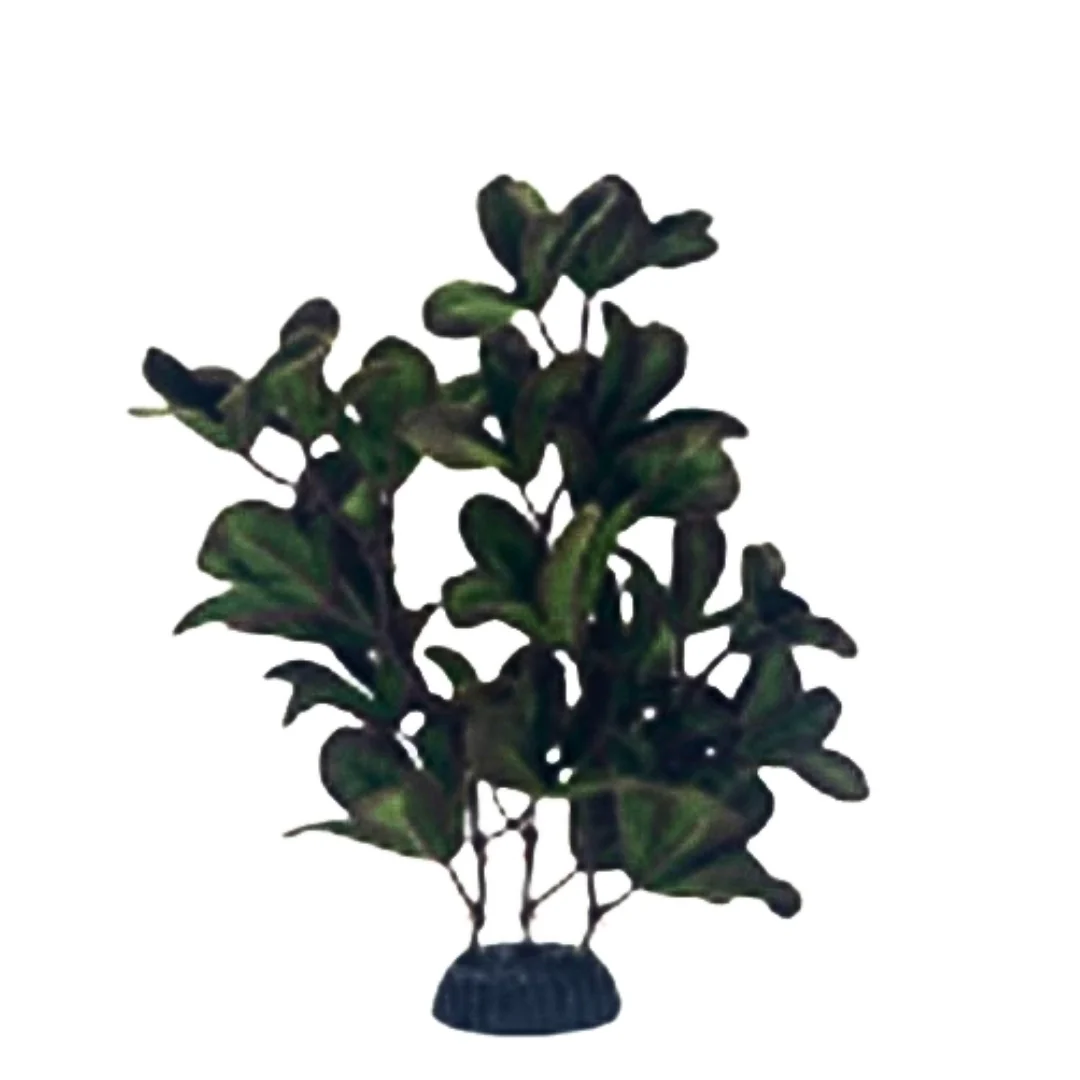 Miniatura 7
