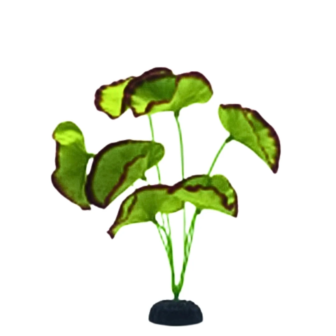 Miniatura 8