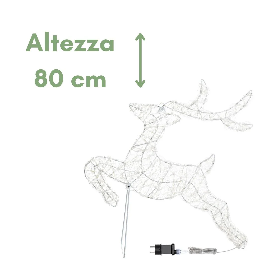 Miniatura 11