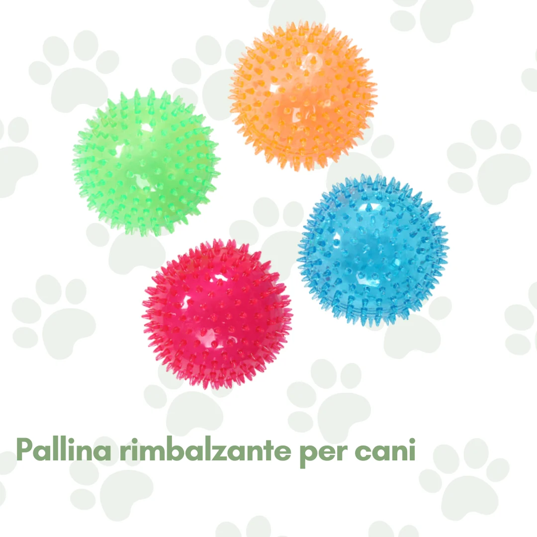 Immagine prodotto 1