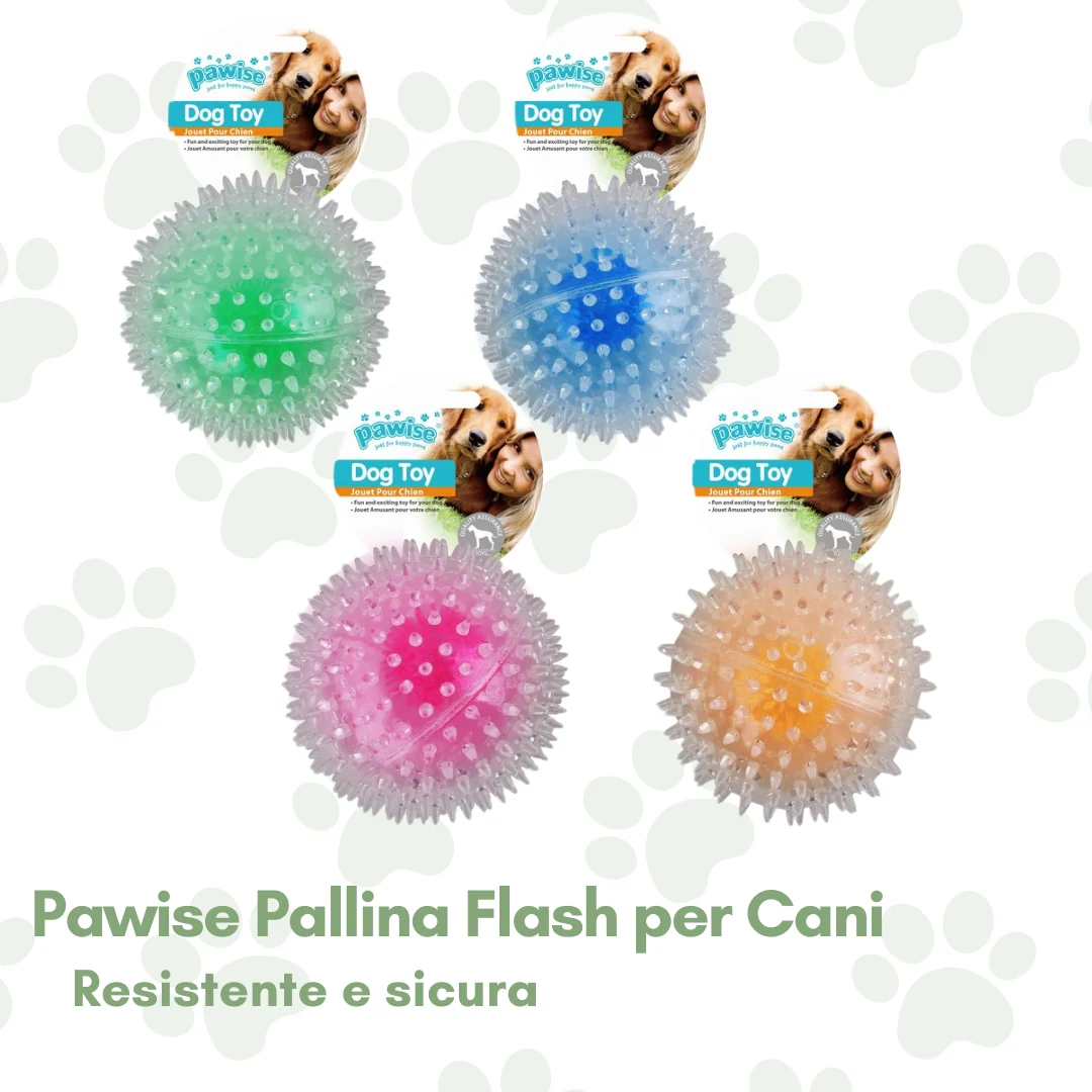 Immagine prodotto 1
