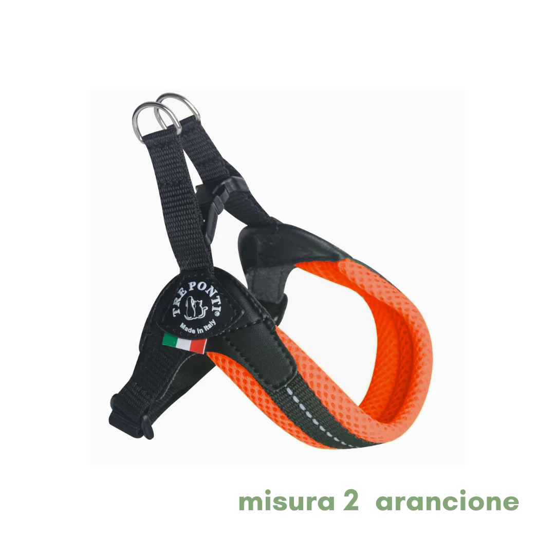 Miniatura 17