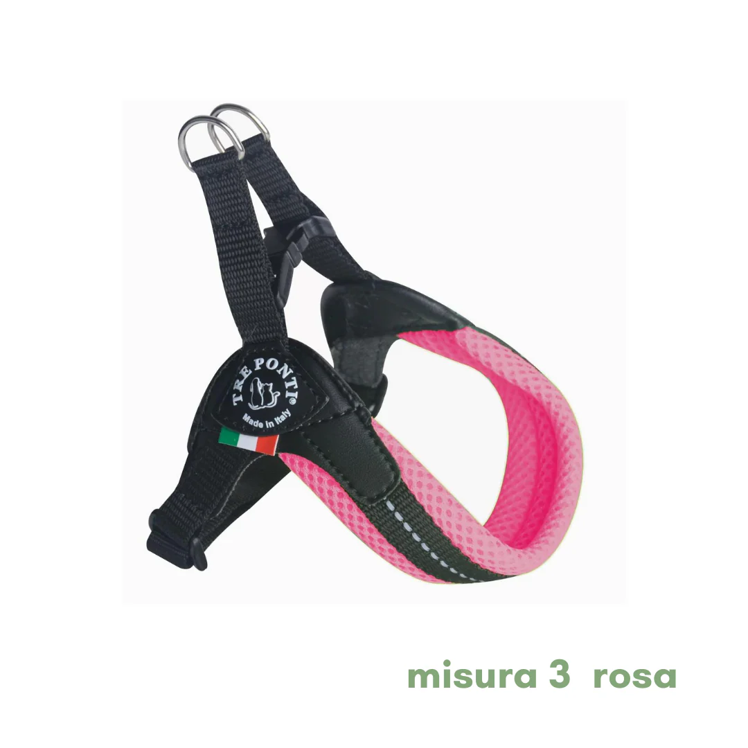 Miniatura 24