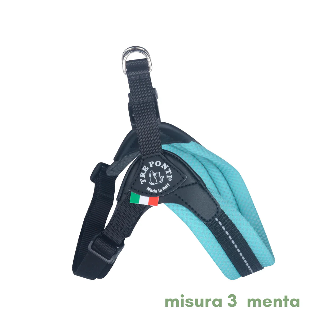 Miniatura 25