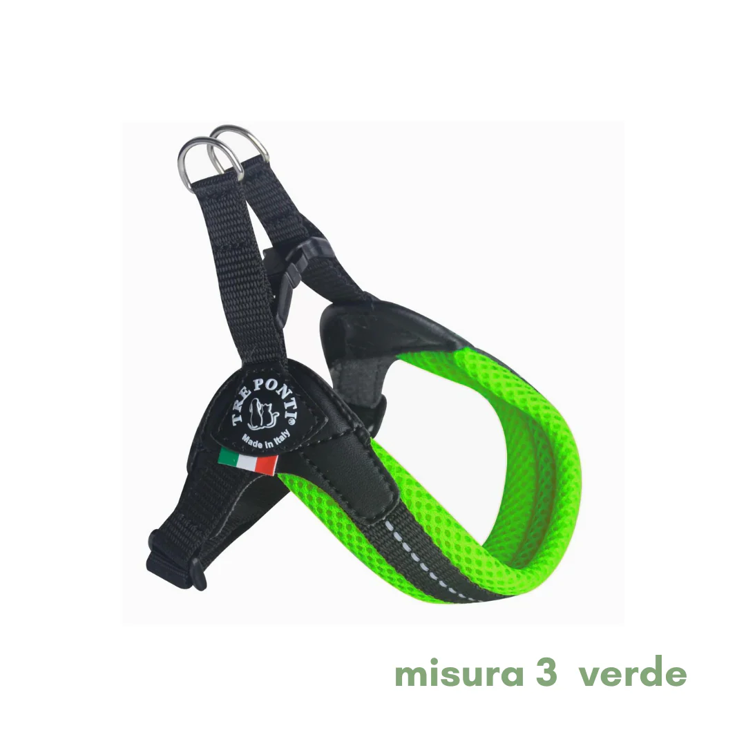 Miniatura 26
