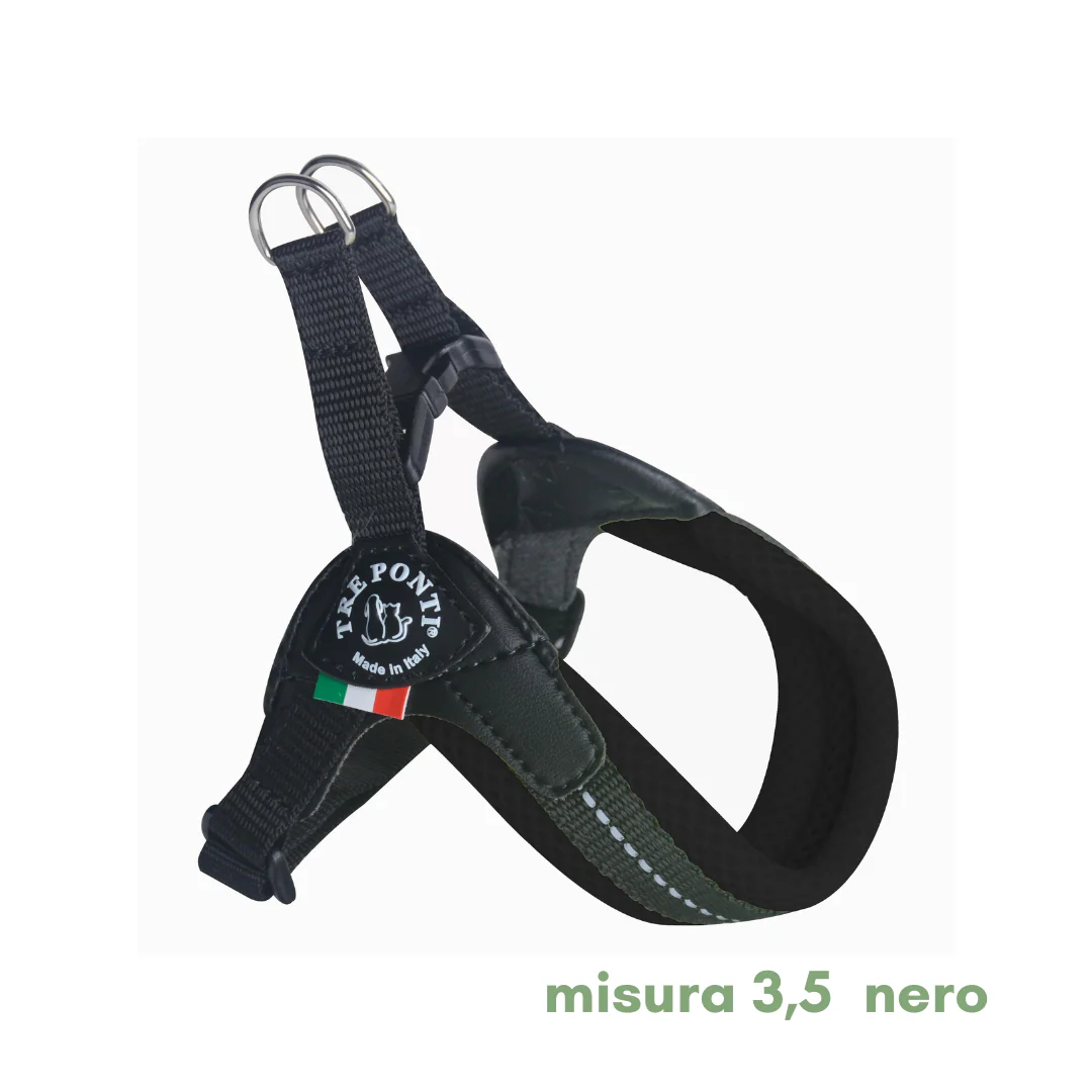 Miniatura 31