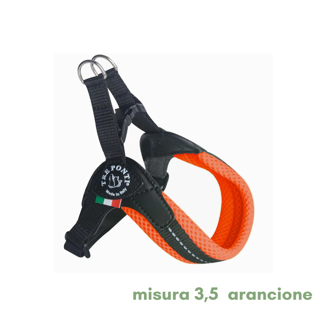 Miniatura 34