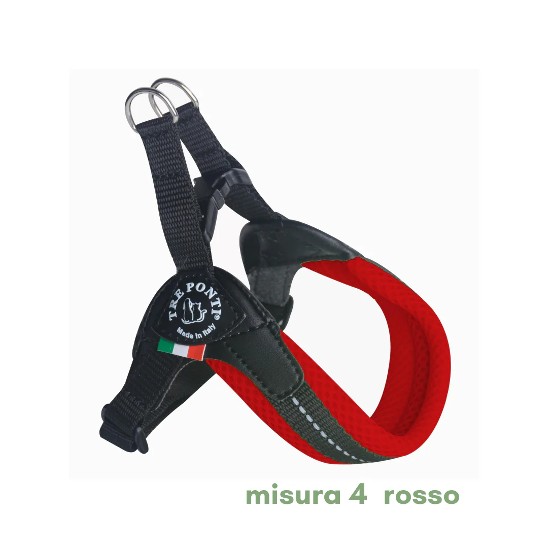 Miniatura 40