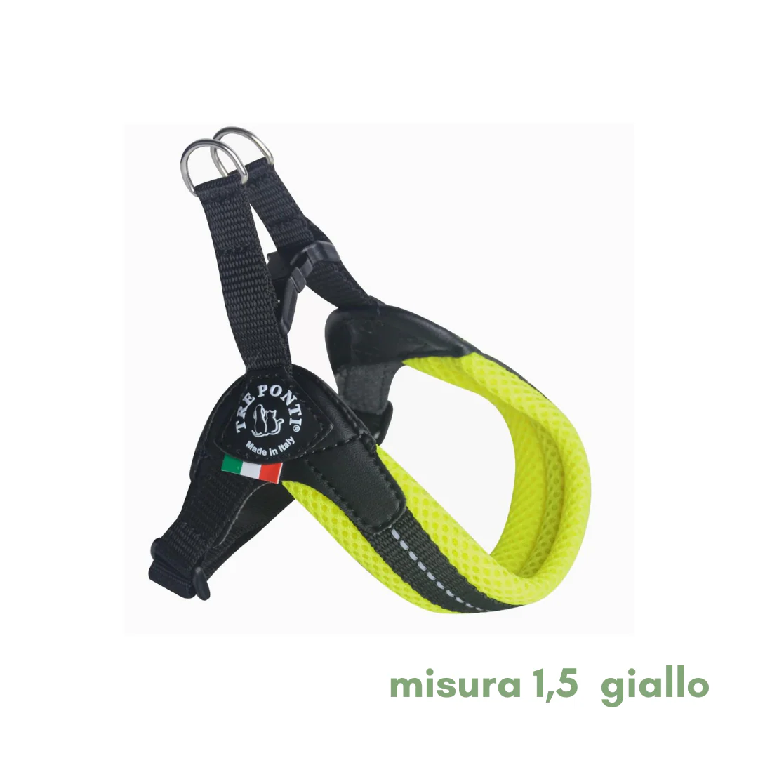 Miniatura 9