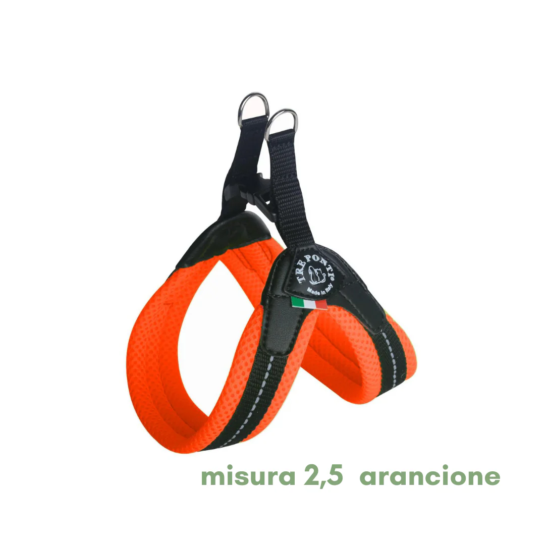 Miniatura 10