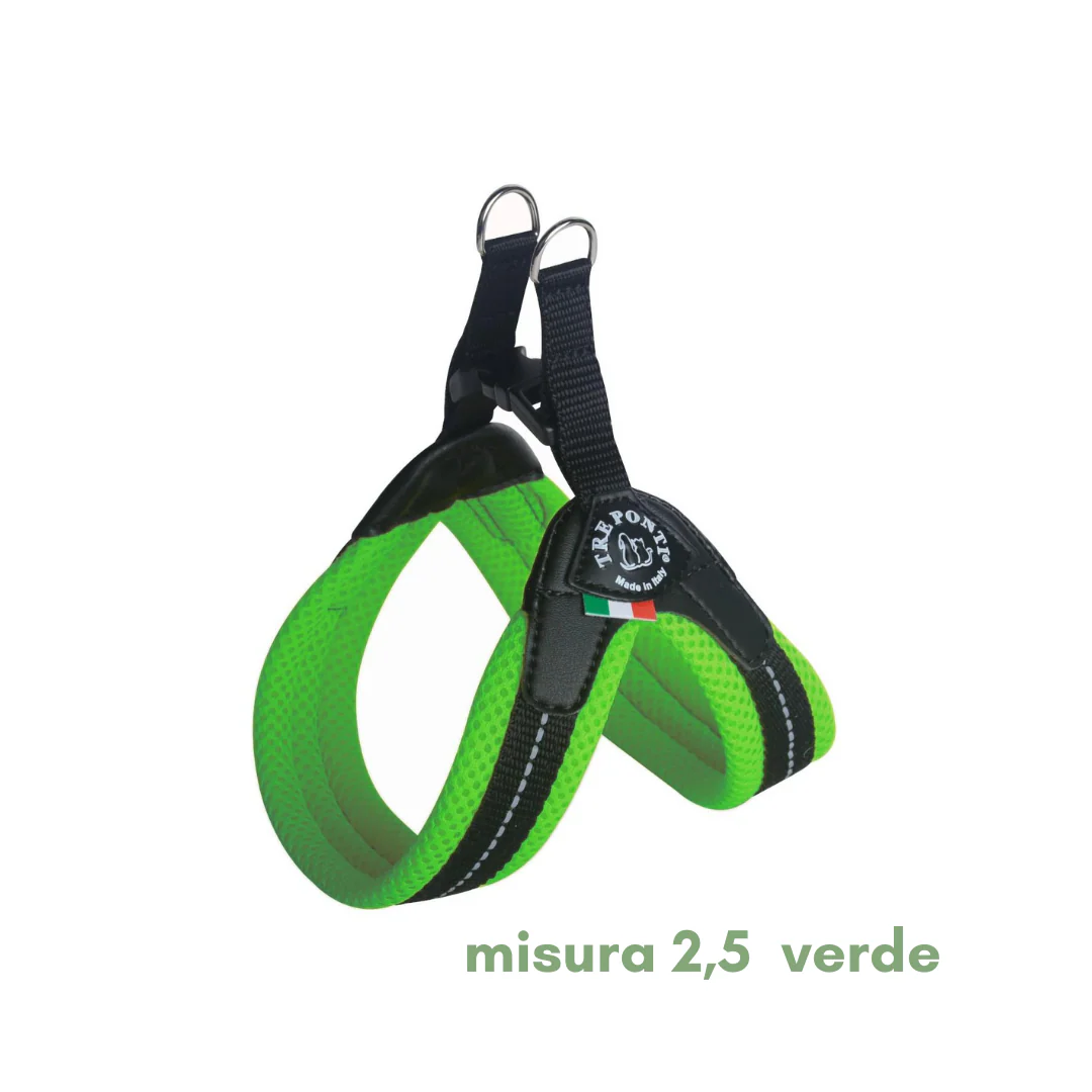 Miniatura 11