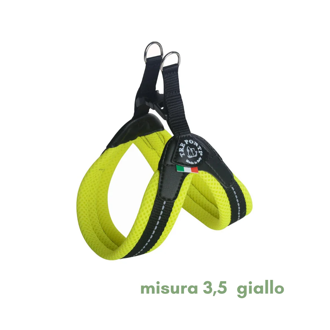 Miniatura 20