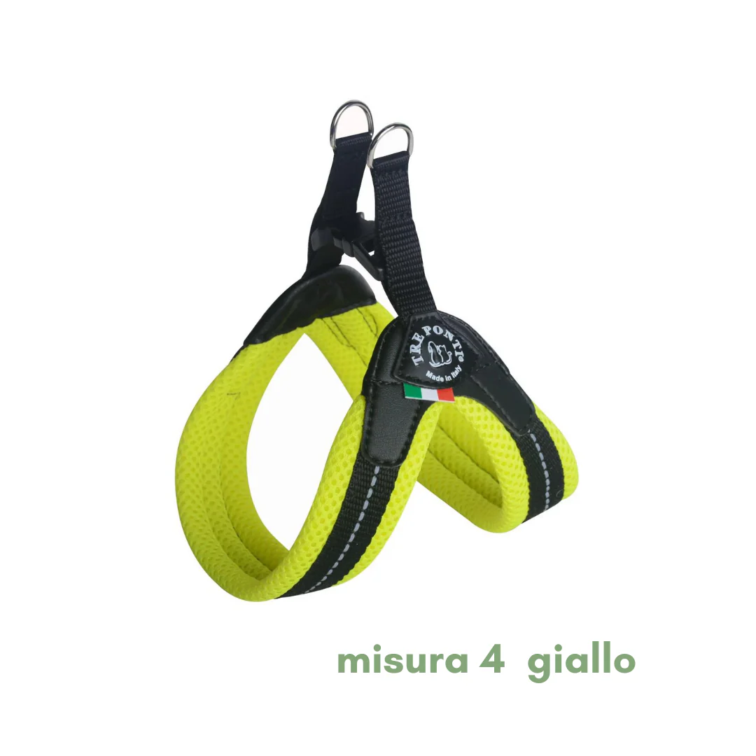 Miniatura 23