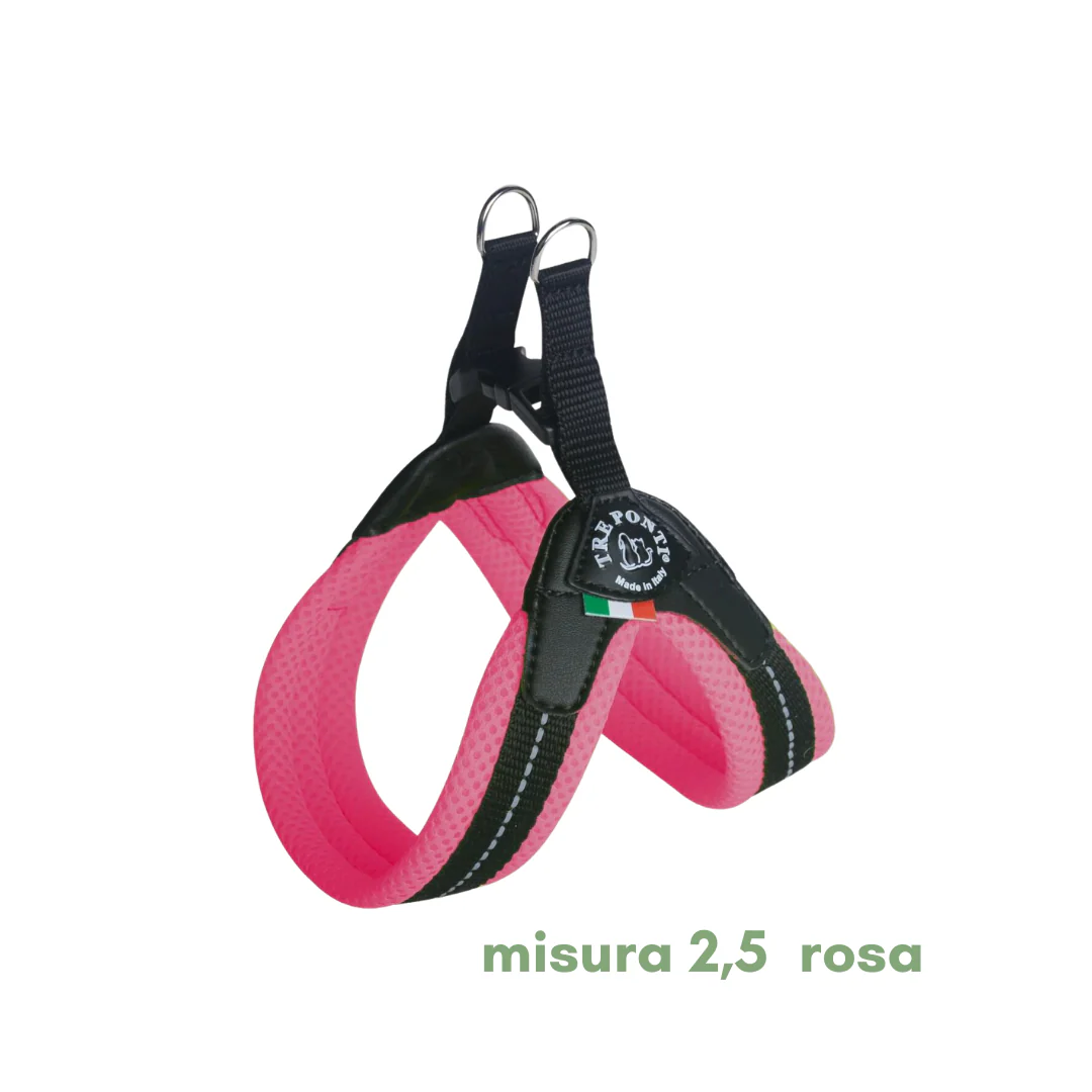 Miniatura 9