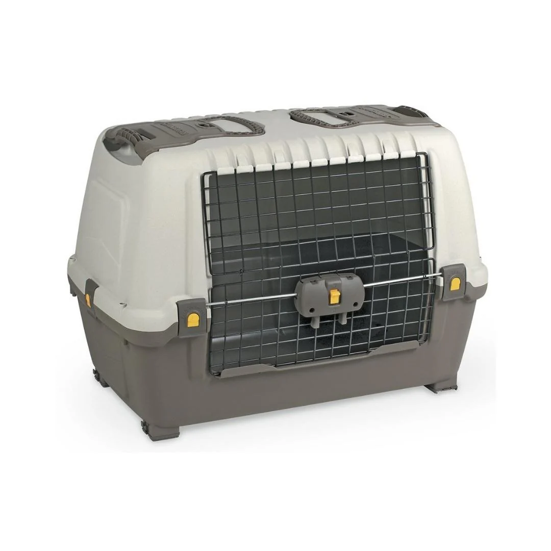 Miniatura 6