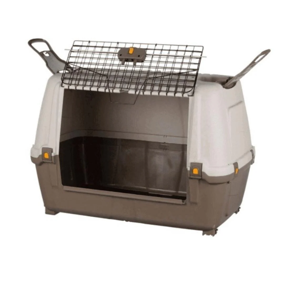 Miniatura 8
