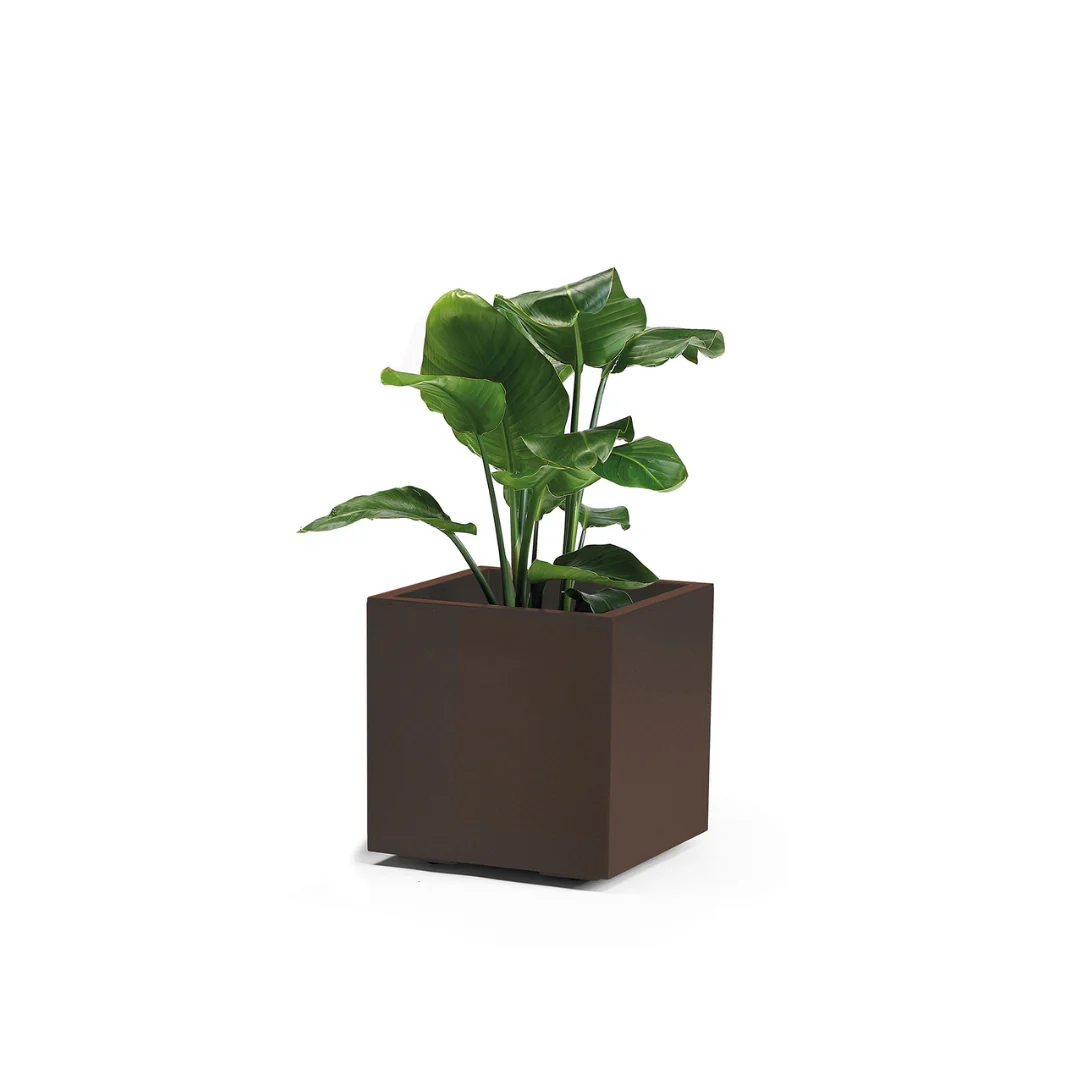 Miniatura 11