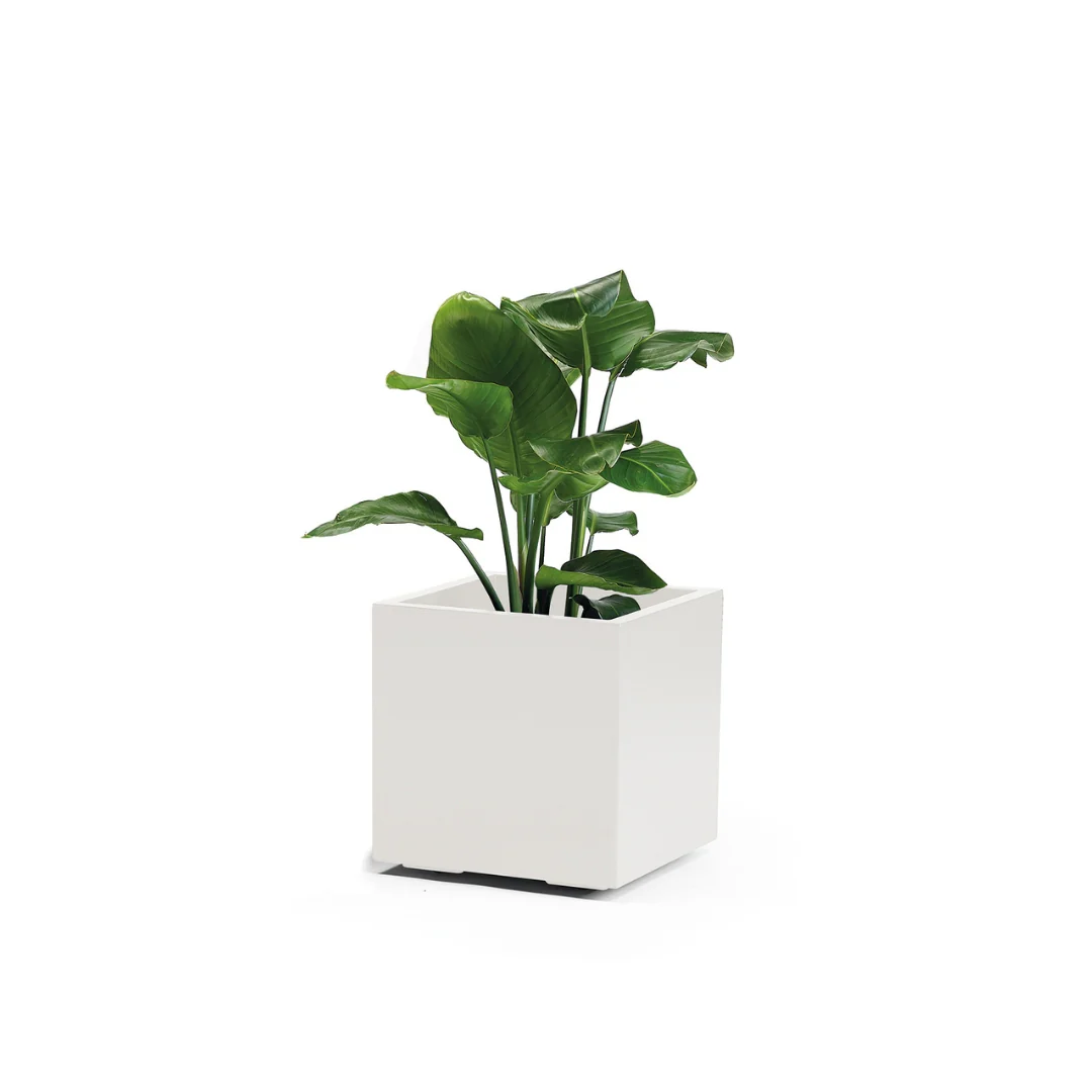 Miniatura 9